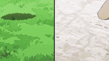 a picture of a grassy field next to a picture of a white surface