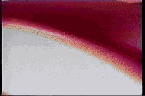 a close up of a purple and white colored background