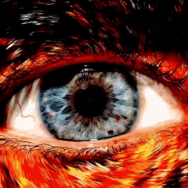 Eye Gaze GIF