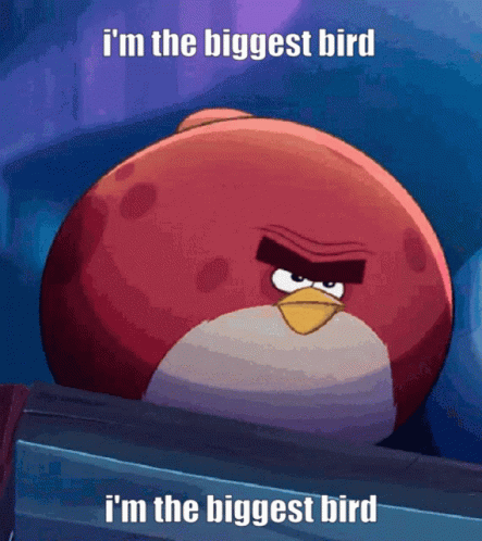 Im The Biggest Bird Bird GIF - Im The Biggest Bird Biggest Bird Bird GIFs