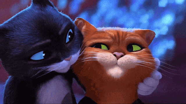 Puss In Boots Puss And Kitty GIF - Puss In Boots Puss And Kitty Kitty Softpaws GIFs