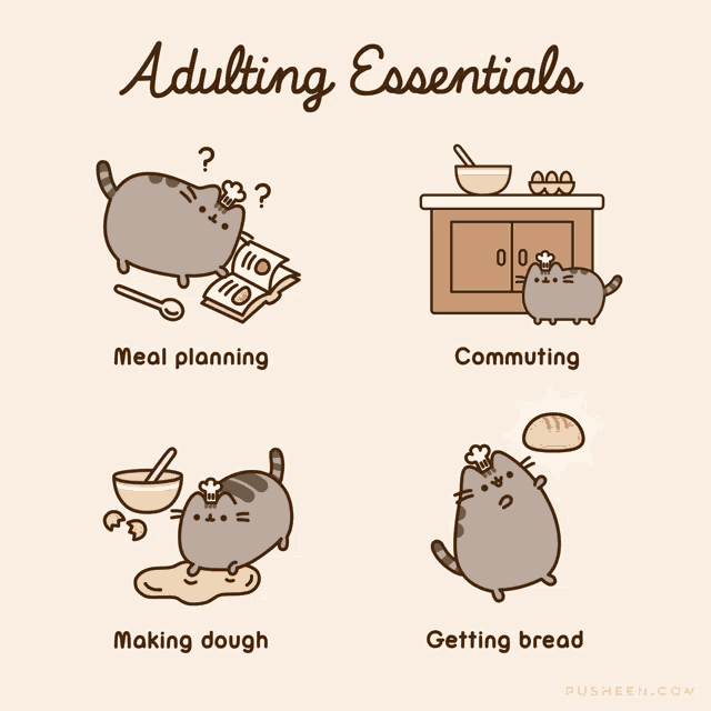 Cooking Cat GIF
