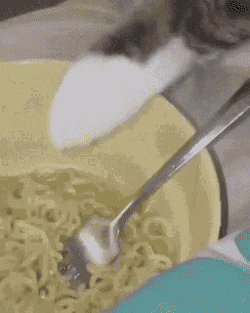 Noodle Cat GIF - Noodle Cat GIFs