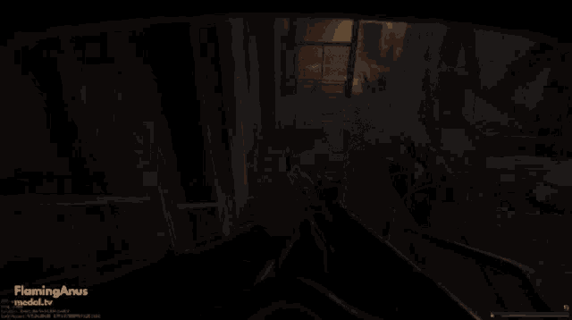 a video game is being played on flaminganus media.tv