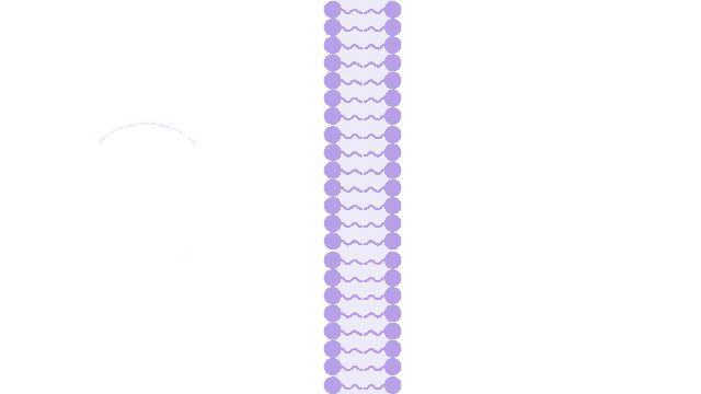 a blue circle and a purple line with purple dots on it