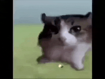 a black and white cat is laying down on a green field .