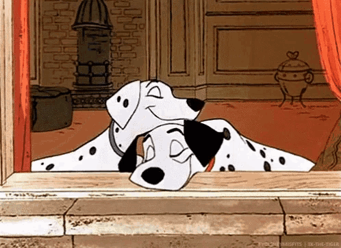 two dalmatian dogs are looking out of a window and one has a mask on
