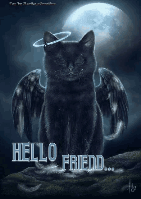 a black cat with angel wings and a halo on its head says hello friend