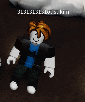 a roblox character with the number 3131313130istikim on the bottom