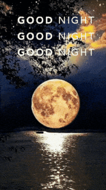 Good Night Images New 2023 Cute Cat GIF - Good night images new