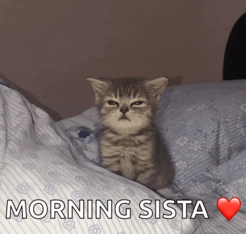 a kitten is sitting on a bed next to the words morning sista and a heart