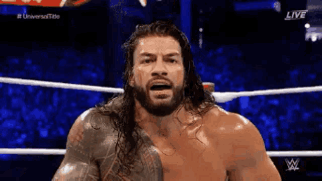 roman reigns is a wrestler with long hair and a beard .
