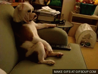 Chill Out GIF - Chill Out Stare GIFs