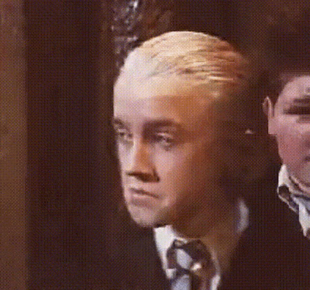 Draco Malfoy GIF - Draco Malfoy GIFs