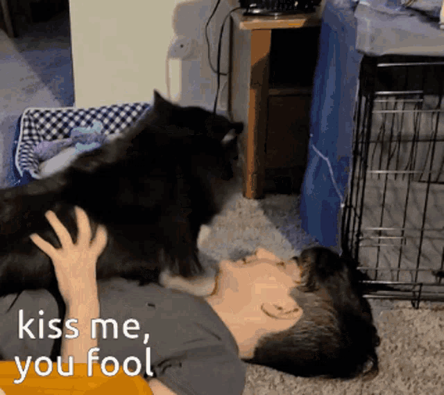 a man laying on the floor with a cat on his chest and the words kiss me you fool on the bottom