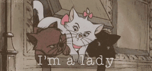 a cartoon of a cat with the words i 'm a lady written below it