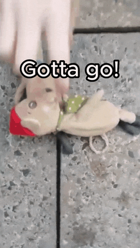 a stuffed animal is laying on the ground with the words gotta go written above it .