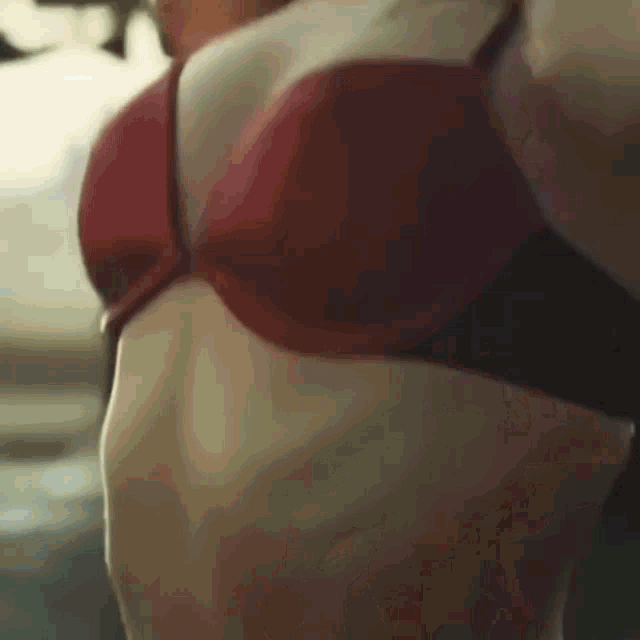 a close up of a woman 's torso wearing a red bra .