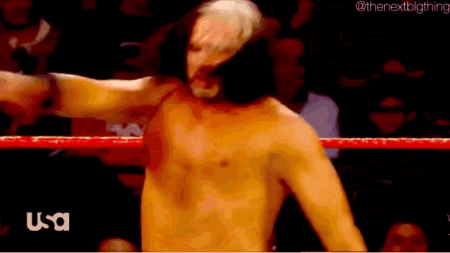 a shirtless wrestler is in a ring with the usa logo on the bottom