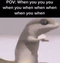 a lizard is standing on its hind legs with its mouth open and looking at the camera .