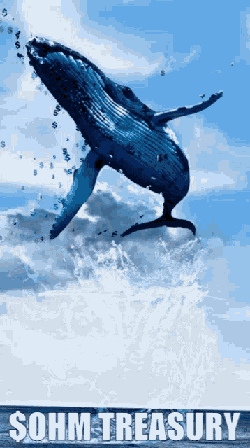 Ohm Treasury GIF - Ohm Treasury Whale GIFs