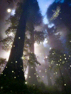 a painting of a forest at night with fireflies