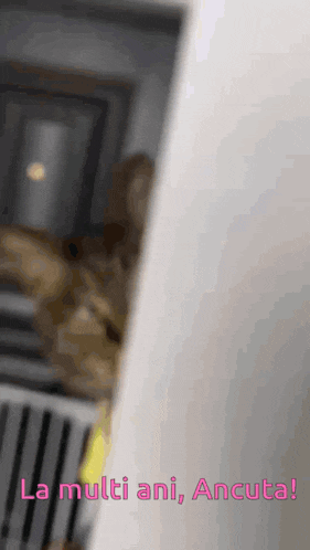 a blurred picture of a cat with the words la multi ani ancuta