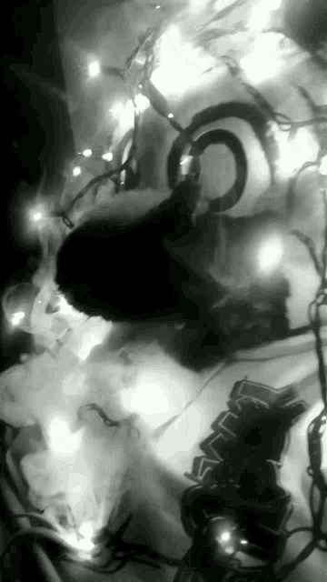 a black and white photo of a christmas tree with lights on it