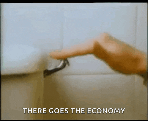 a hand is pressing a button on a toilet with the words there goes the economy written below it