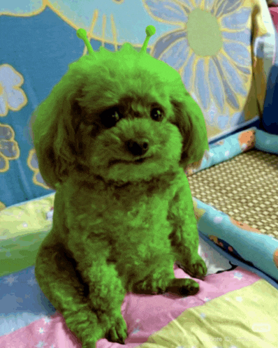a small brown dog with green hair and green antennas on its head