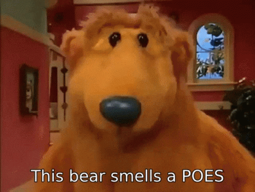 Poes Bear GIF - Poes Bear Smells GIFs
