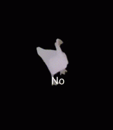 Dancing No Duck GIF - Dancing No Duck GIFs