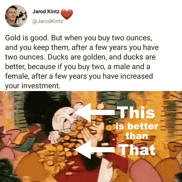 Money Gold GIF - Money Gold Duck GIFs