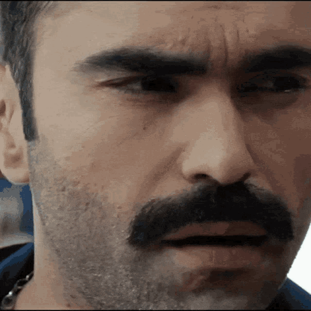 a man with a beard and mustache is looking at the camera