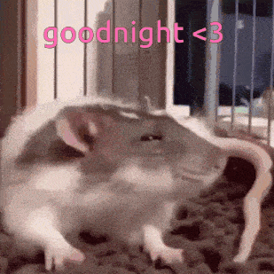Goodnight Ily GIF - Goodnight Ily Rat GIFs