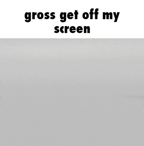 a laptop with a picture of a cat on the screen and the words gross get off my screen above it