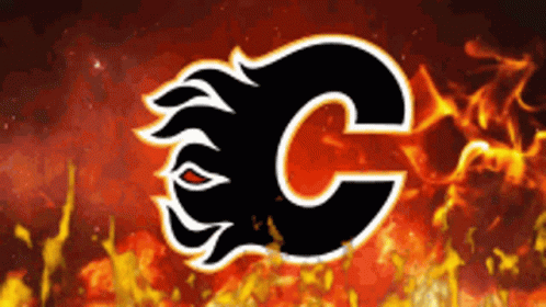 Hockey Calgary GIF - Hockey Calgary GIFs