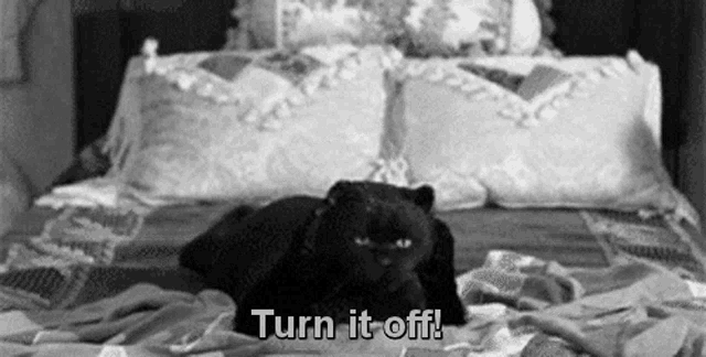 a black cat is laying on a bed with the words `` turn it off '' written on the bottom .