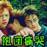 harry potter and ron weasley hugging each other with chinese writing