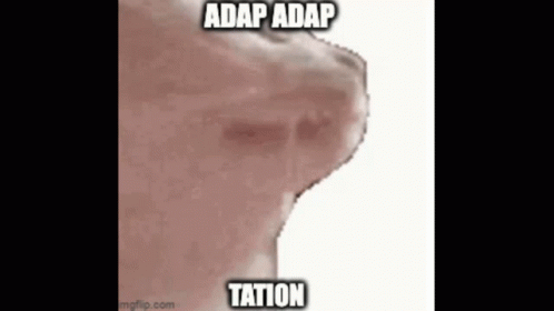 Cat Vibing To Adap Adap Tation Changed In Your Body To Fit A Location Adap Adap Tation GIF - Cat Vibing To Adap Adap Tation Changed In Your Body To Fit A Location Adap Adap Tation GIFs