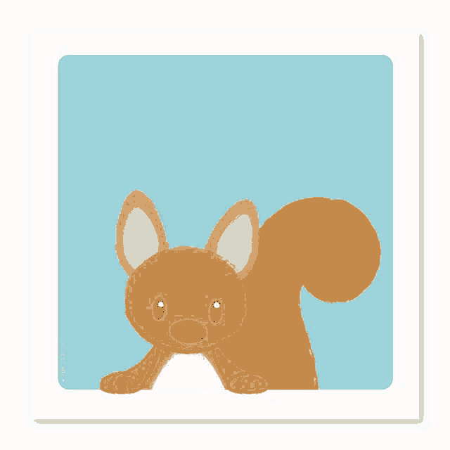 a picture of a squirrel on a blue background with a watermark that says ' squirrel ' on it