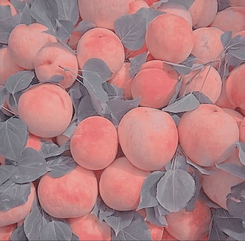 Peach GIF - Peach GIFs
