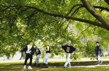 a group of people standing under a tree with one wearing a number 18 sweatshirt
