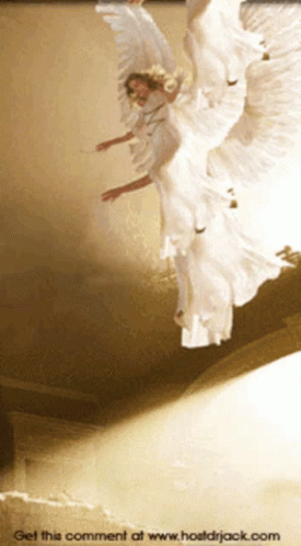 Guardian Angels Guide GIF