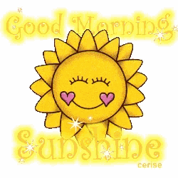a cartoon sun with hearts on its eyes and the words good morning sunshine below it