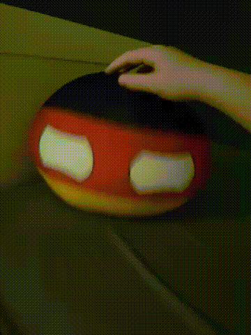 a person is holding a stuffed german flag on a bed