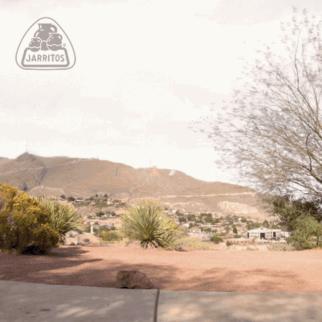 a sign that says jarritos on it with a mountain in the background