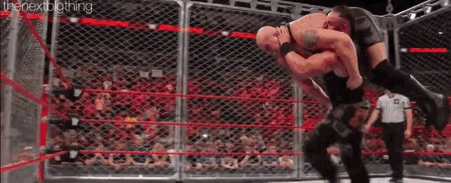 two men are wrestling in a cage with a crowd watching