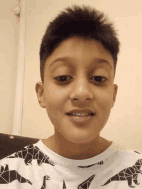 a young boy wearing a white t-shirt with dinosaurs on it is smiling for the camera .