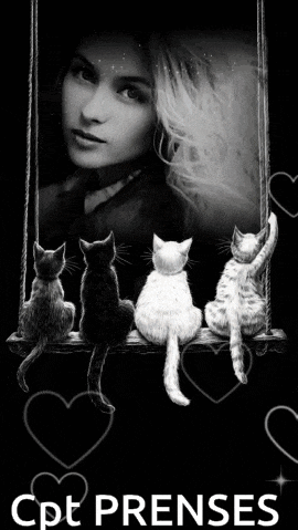 a black and white photo of cats on a swing with the words cpt prenses